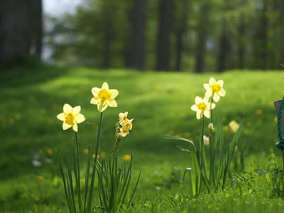 政治的最高境界